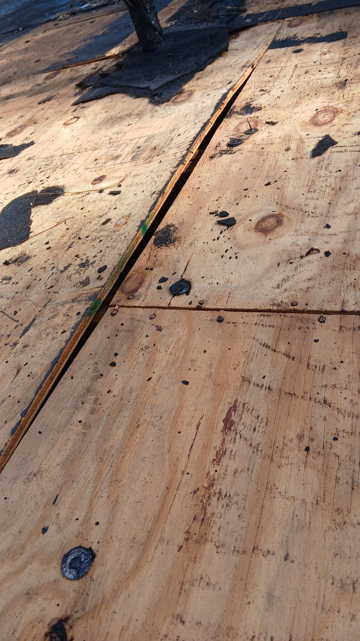 Project in St. Petersburg 33702 by Mitchell Roofing Company LLC 