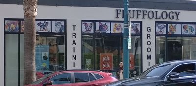 Project in Los Angeles