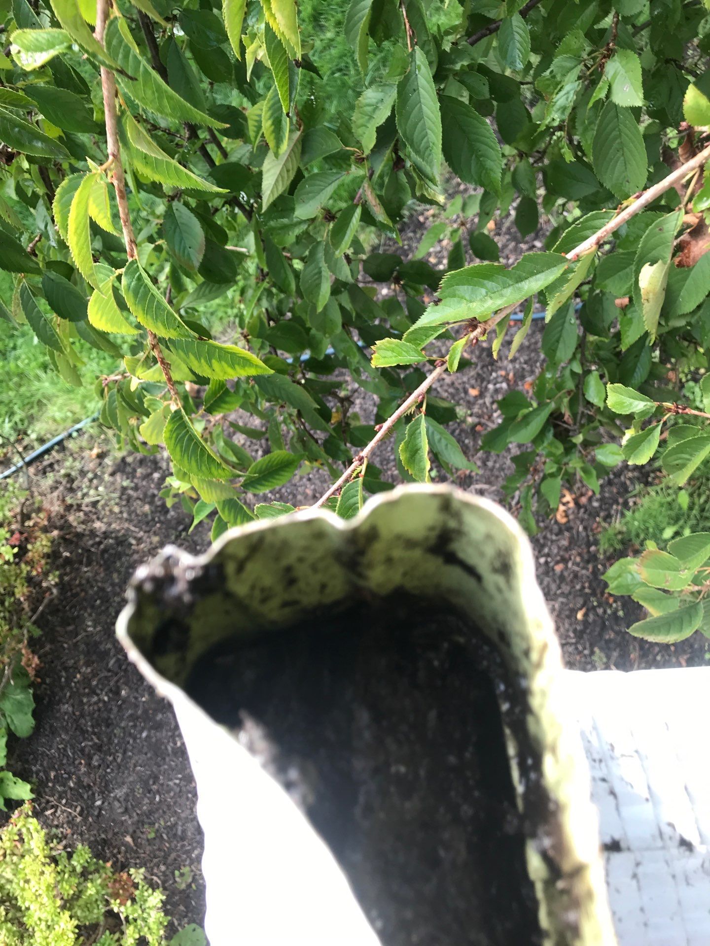 Gutter Cleaning throughout the year in Pequannock Township, New Jersey by NJ Home Maintenance Services