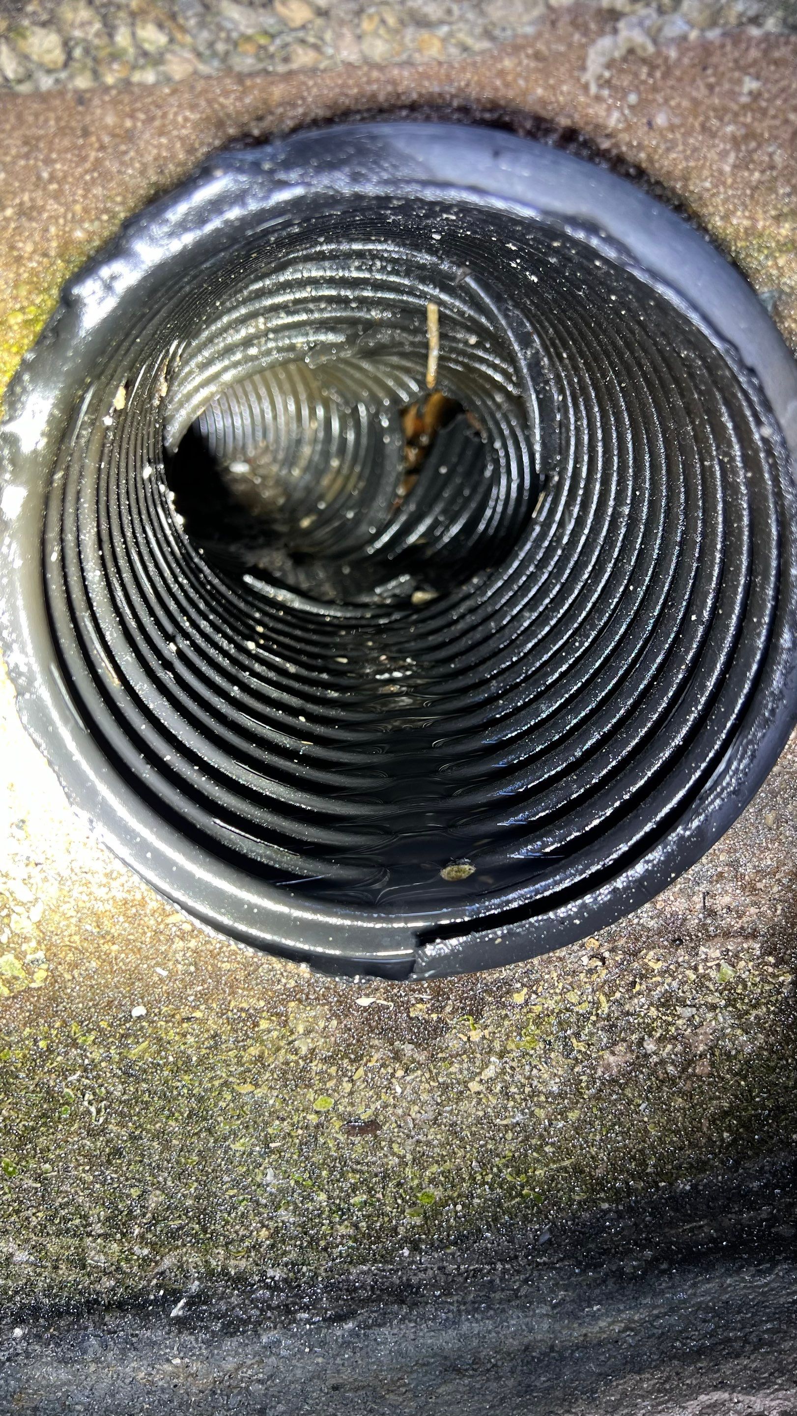 Naples Condo Catch Basin Cleaning by APS Power & Water