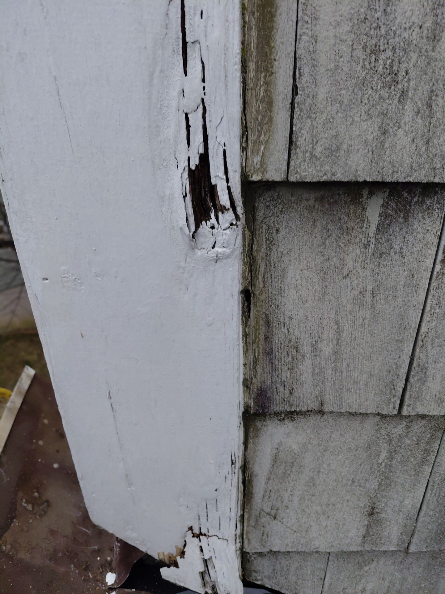 Reston :  Residential Roof Replacement with Brava Synthetic Cedar Shake Class C Natural  by RM Banning, Inc.