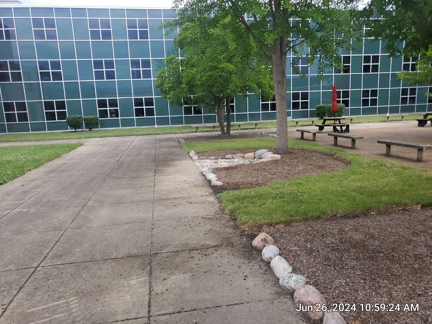 concrete using Algaecide, soft wash soap by Northern Power Washing LLC.