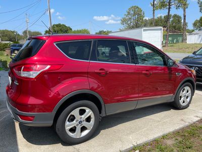 Vehicle Suicide in Cape Coral