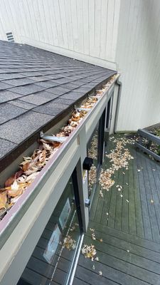 Turtle Shell gutter protection installation in Roselle, IL 60172, photograph 15