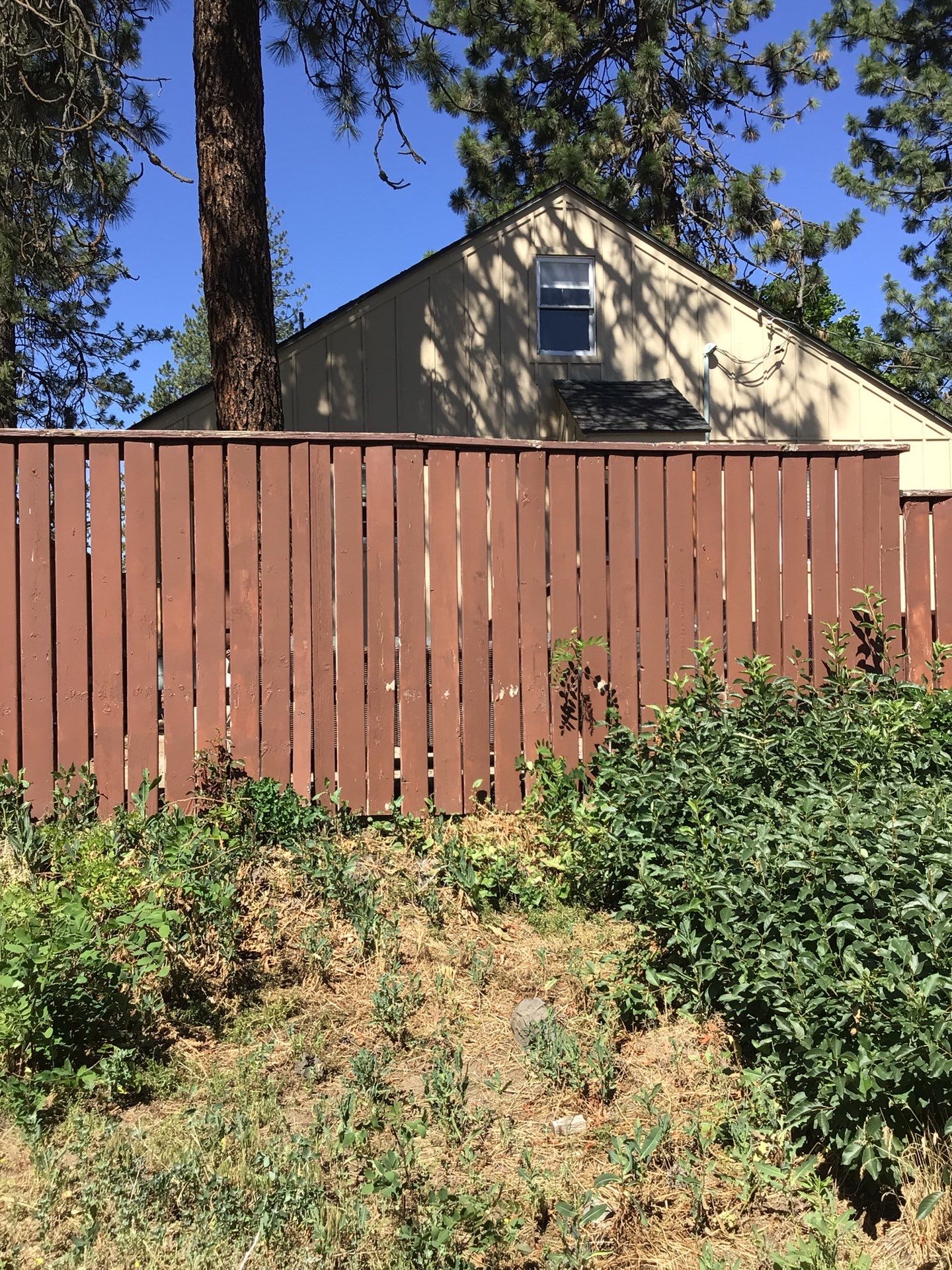 New Porch by Painter1 Inland Northwest