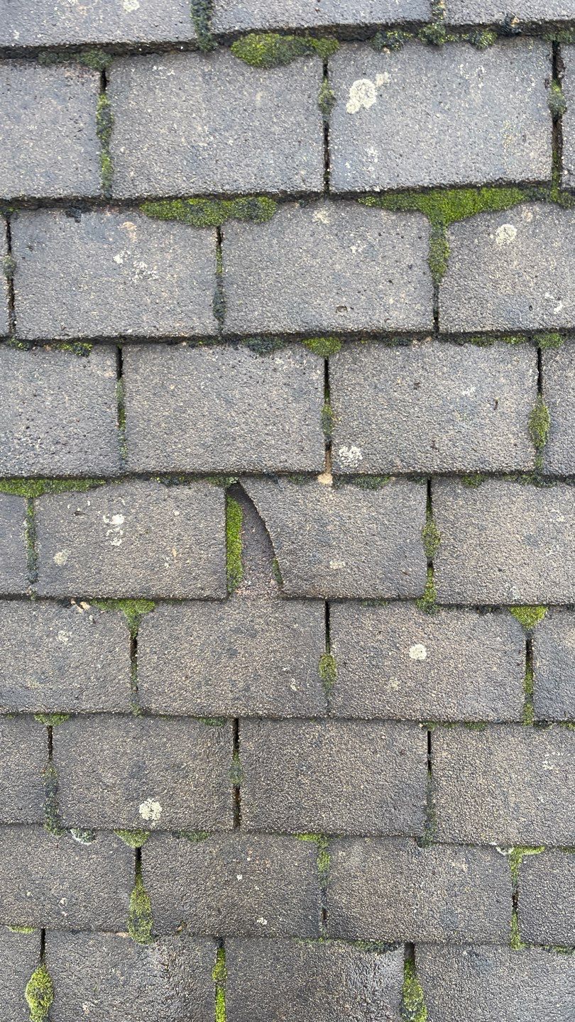 Roof Clean - Biocide Treatment using Honda 15lpm Low Pressure Washing Machine by Ges Exterior Cleaning ltd