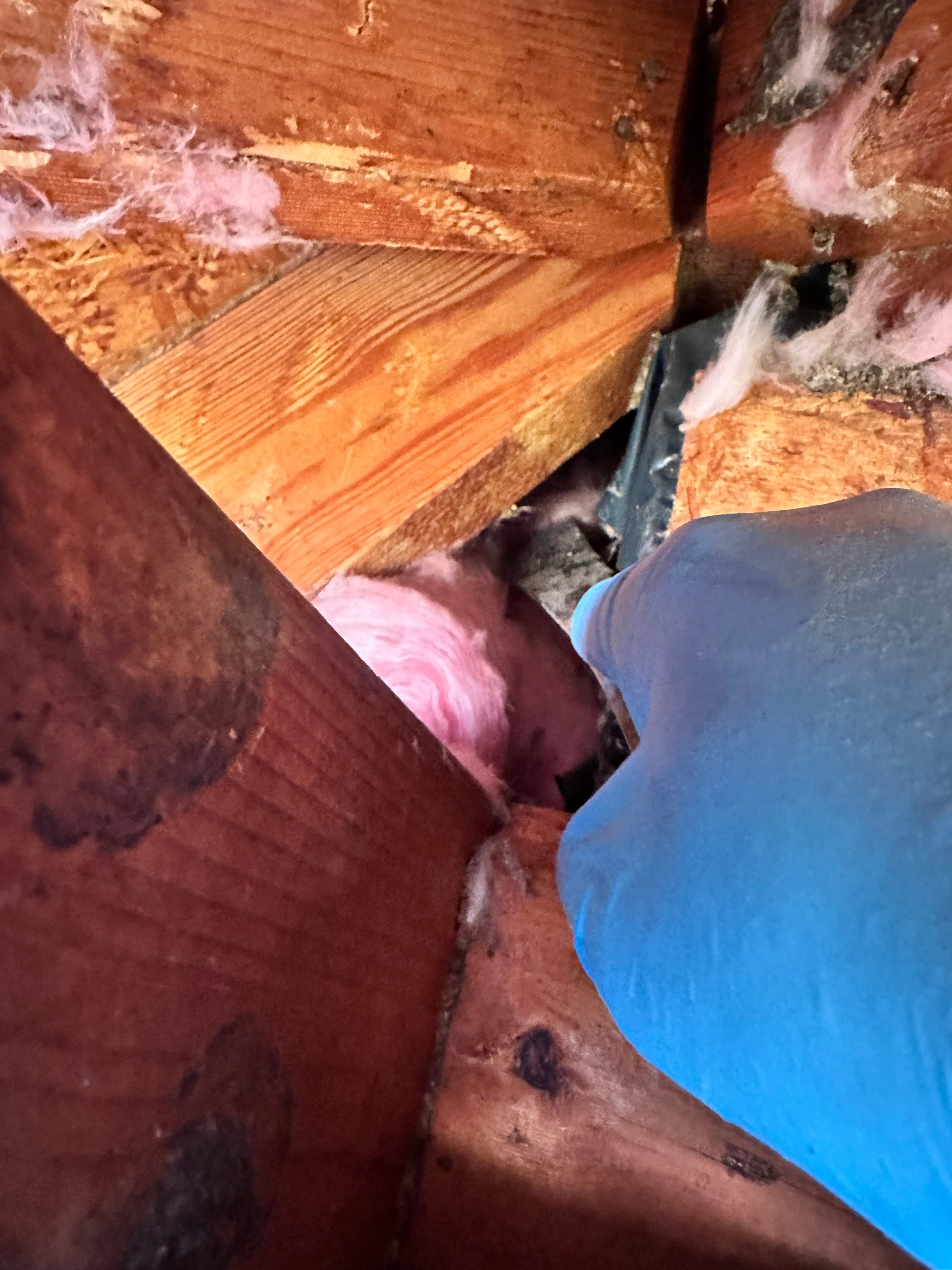 Elevated by Rockwall Honey Bee Company