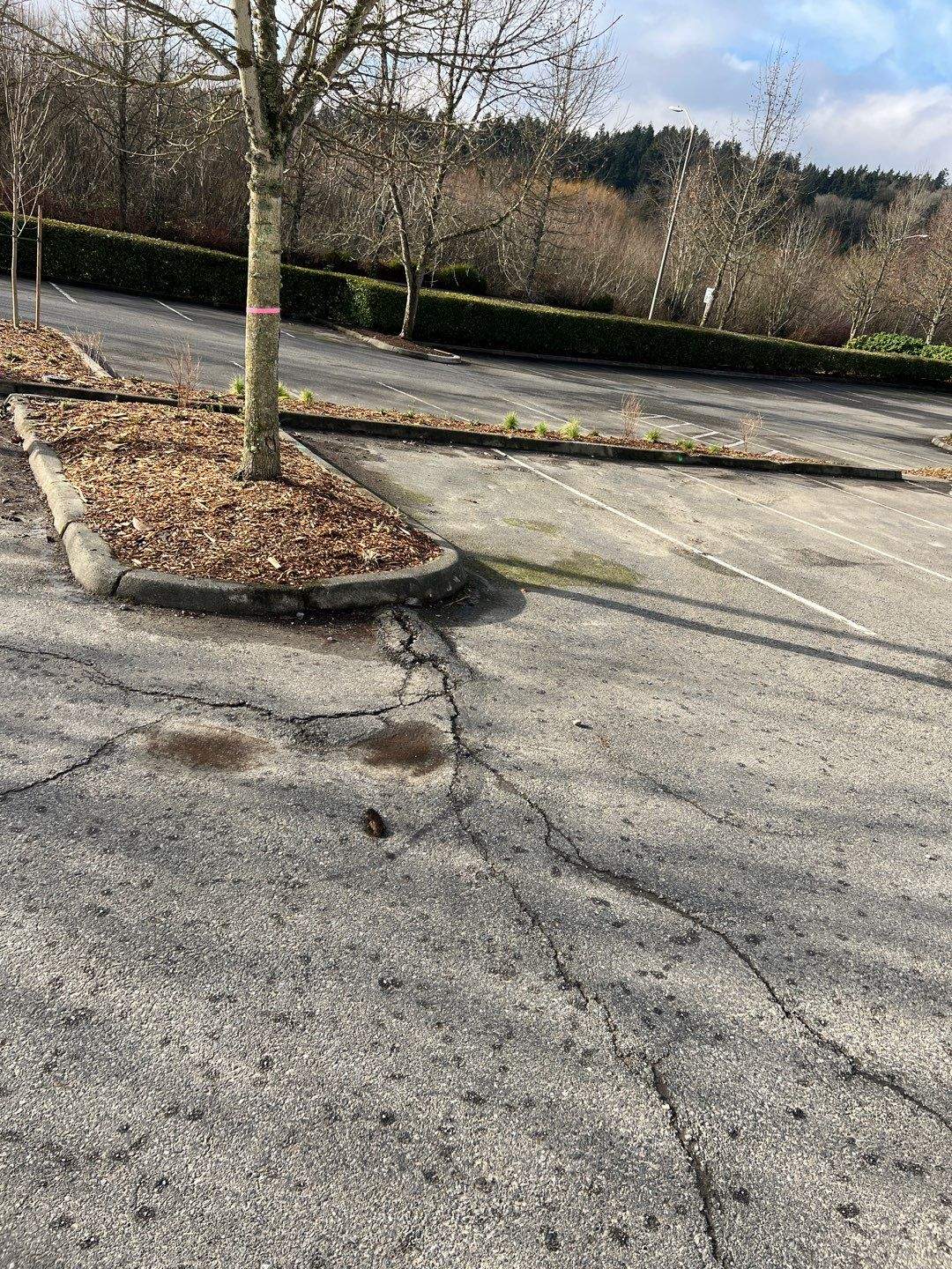 BN Builders | Asphalt Parking Lot by Jireh Asphalt & Concrete Inc 