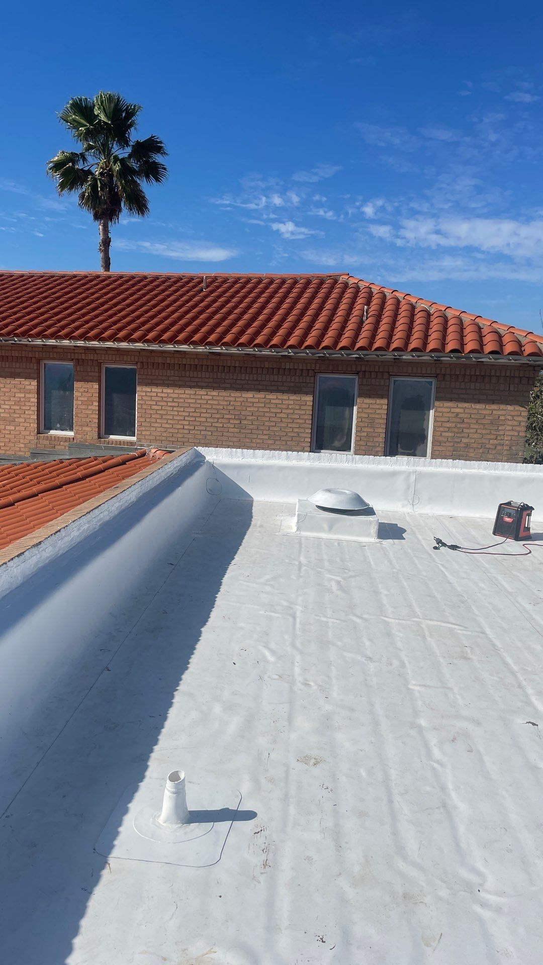 Problems in Paradise  by Bayfront Roofing and Construction