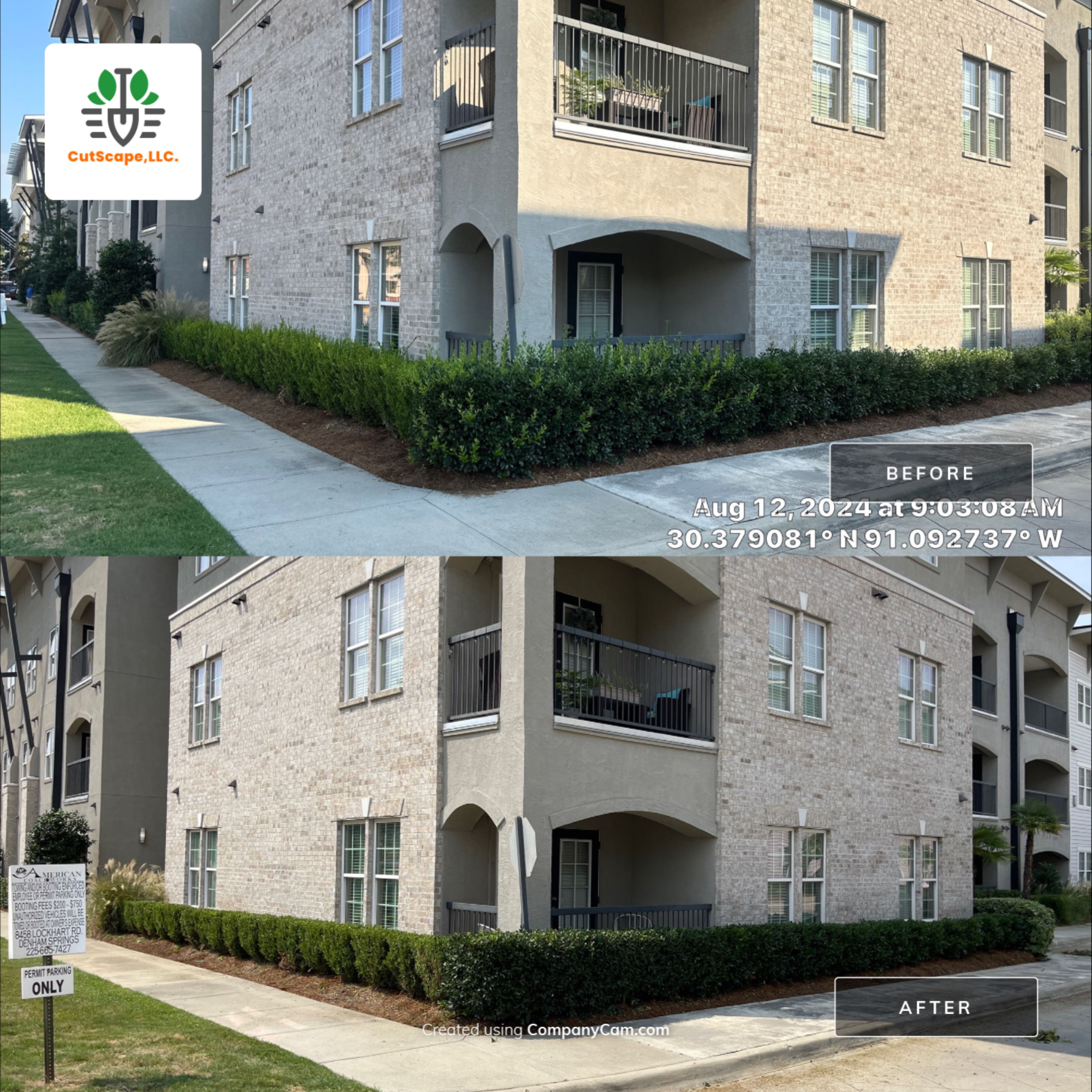 MULTI FAMILY PROPERTY: HEDGE TRIM / BED CLEAN by CutScape, LLC.