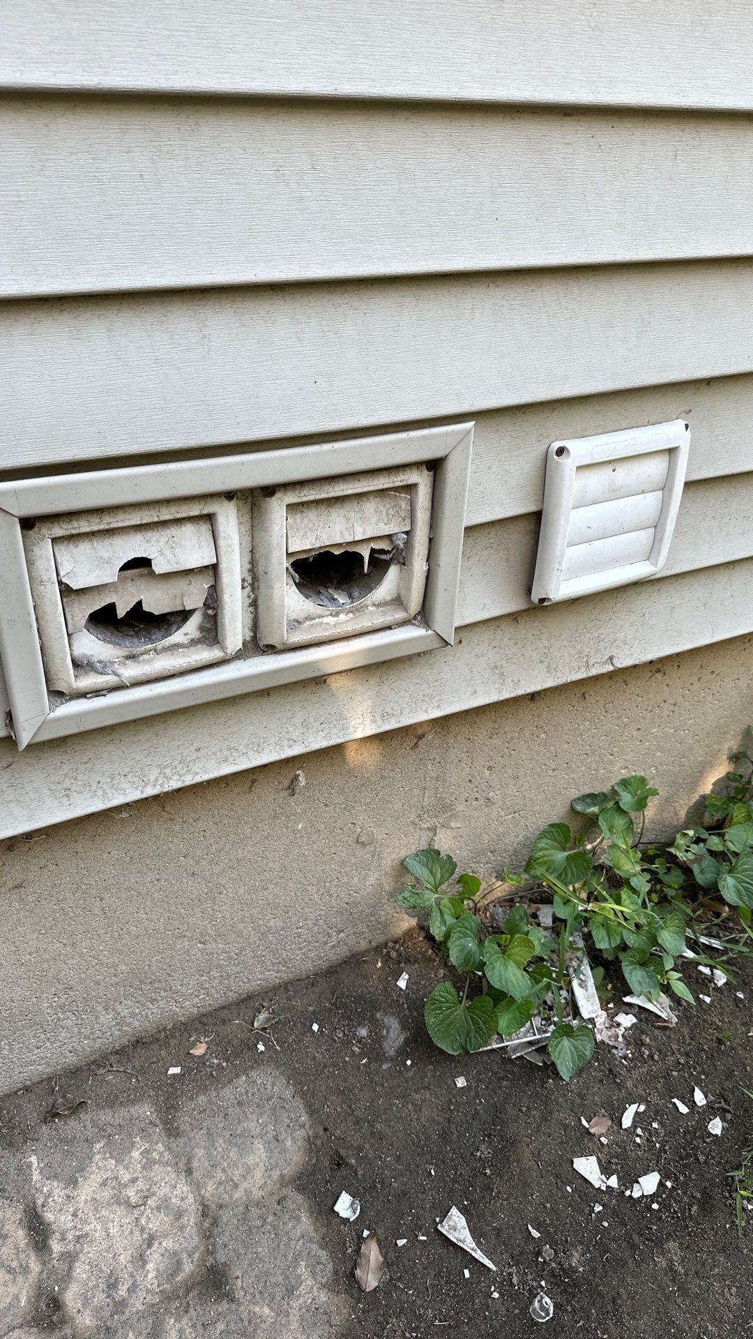 Dryer Vent Replacement in a multifamily by TMS Services