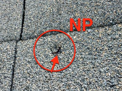 Tyee Roofing Replacement