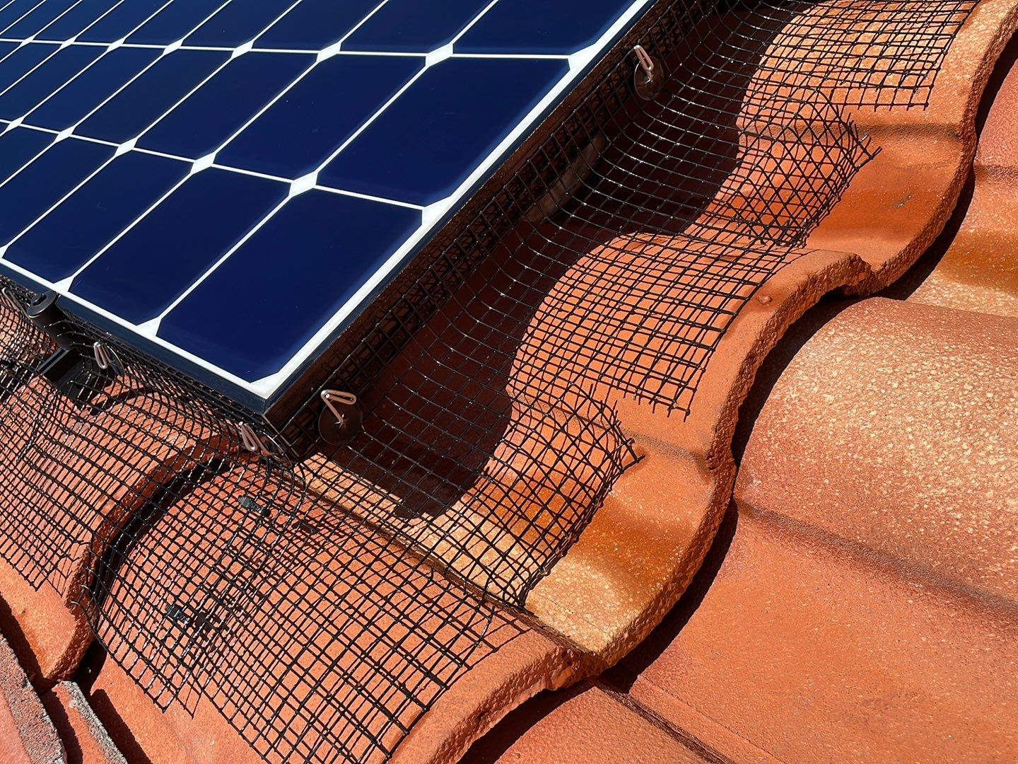 Solar Panel Bird Proofing using Critter Guard Mesh by All One Solar Shine