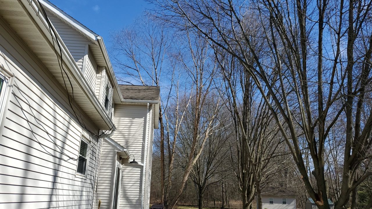 Tree Removal using Tree Removal by Mike Jones & Sons Tree Service LLC 