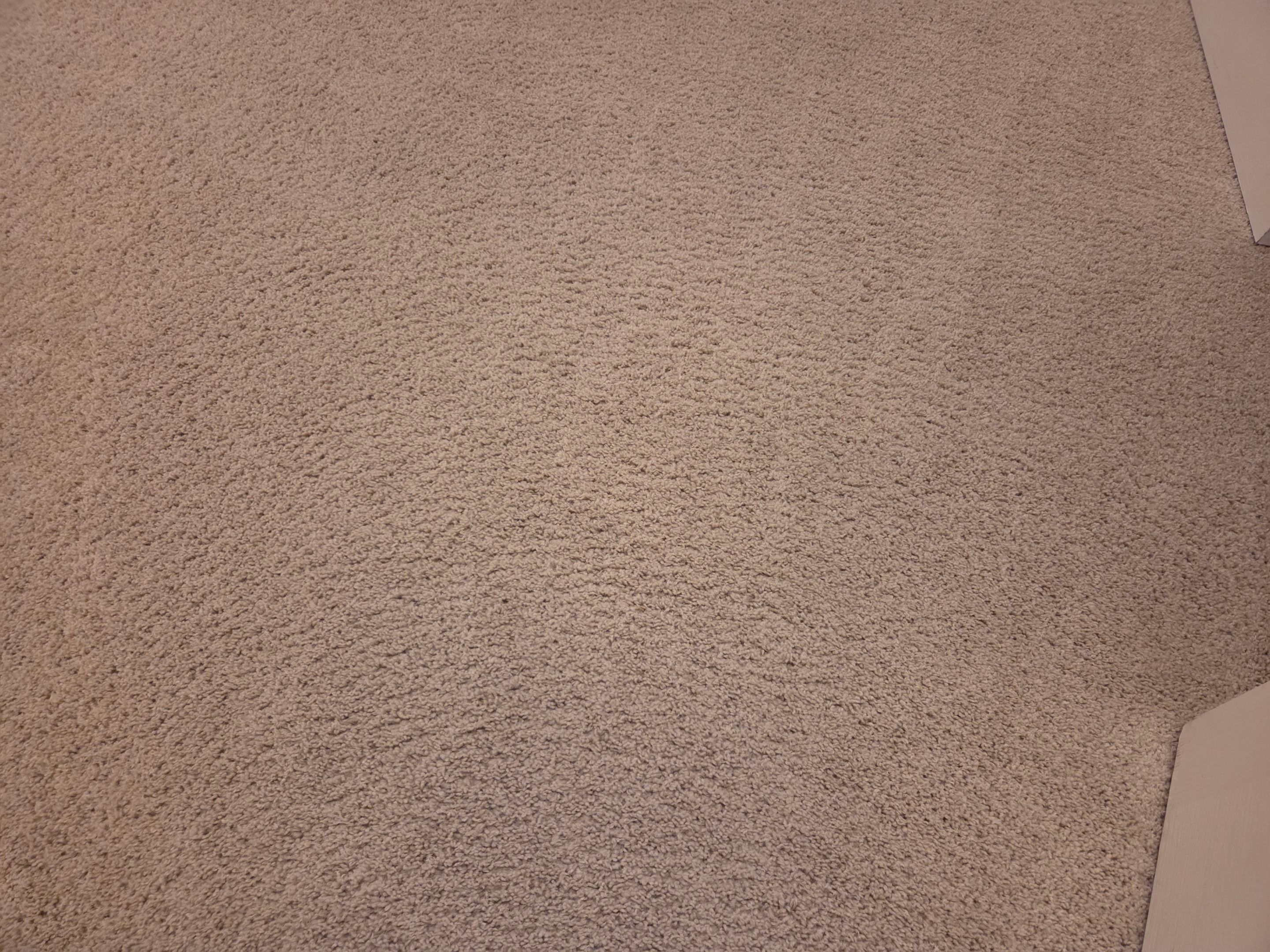 Carpet Cleaning and Stain Removal in Shingle Springs by Ardent Carpet Restore LLC