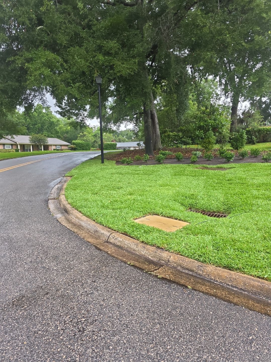 Deerwood Resident | Sod & Plant Install by ProGreen Services