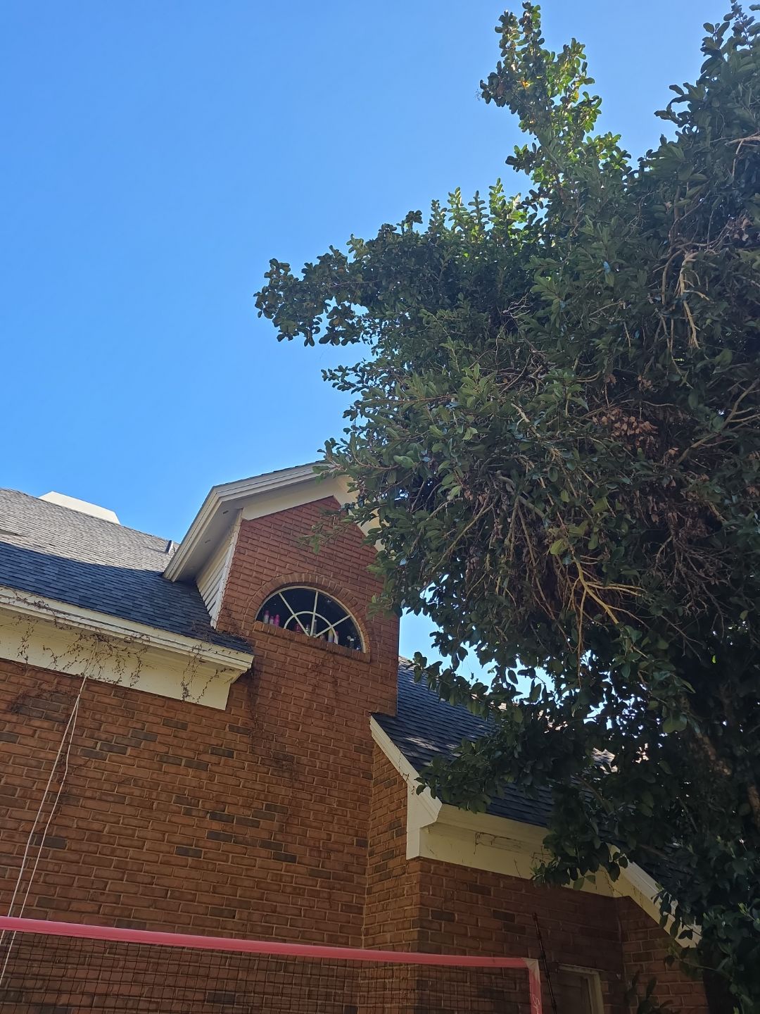 Deerwood Resident | Tree Service by ProGreen Services