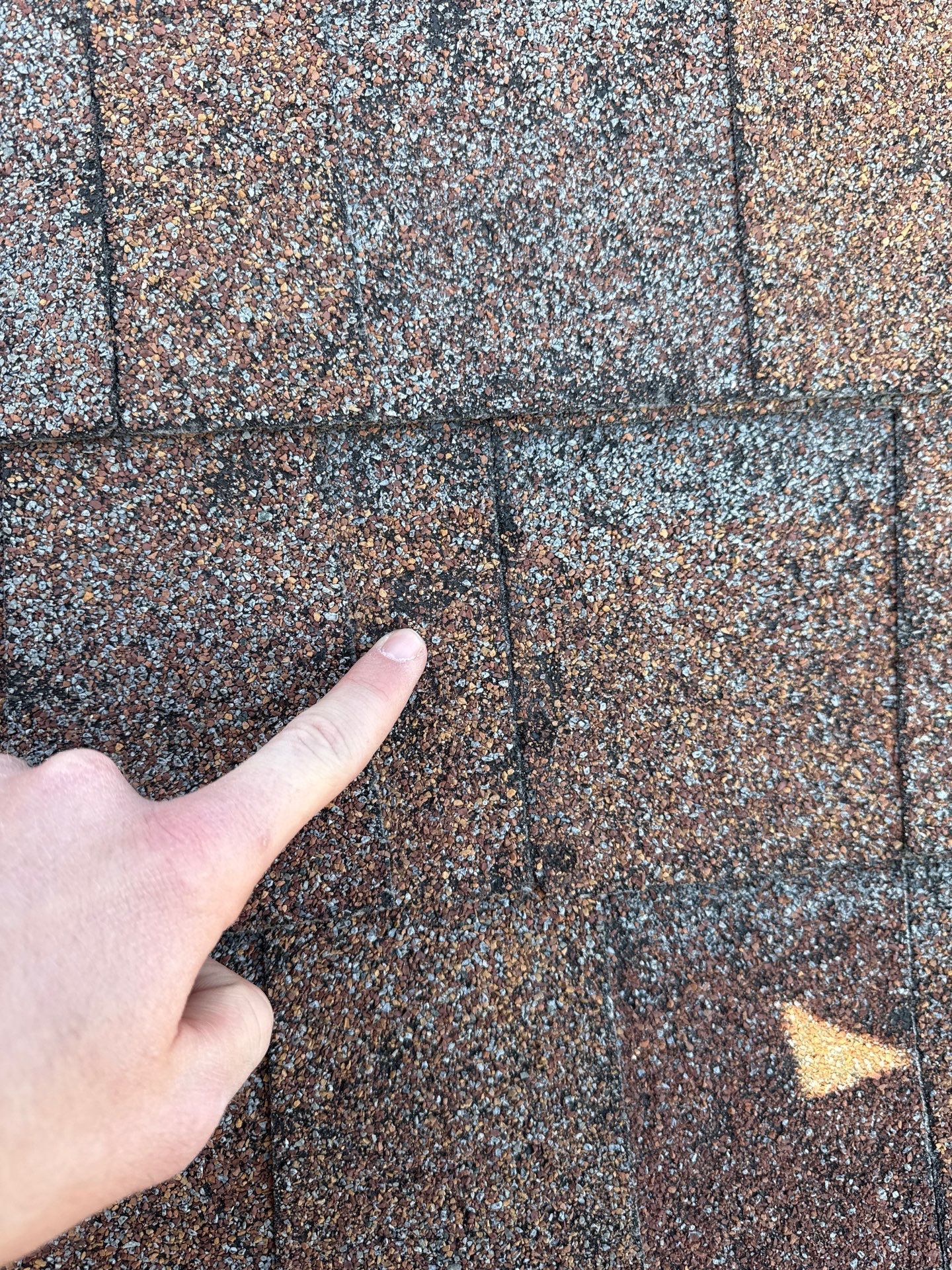 Roof Replacement & Seamless Gutters in Ozark by Table Rock Design + Build
