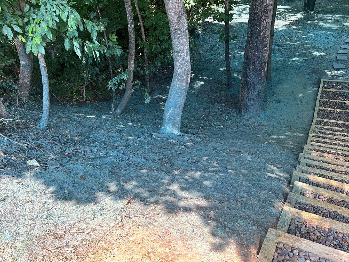 Gain unused yard space by GrassBusters, Inc.
