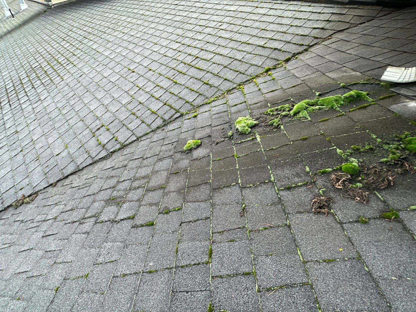 Charcoal Gray Shingles by Reimagine Roofing
