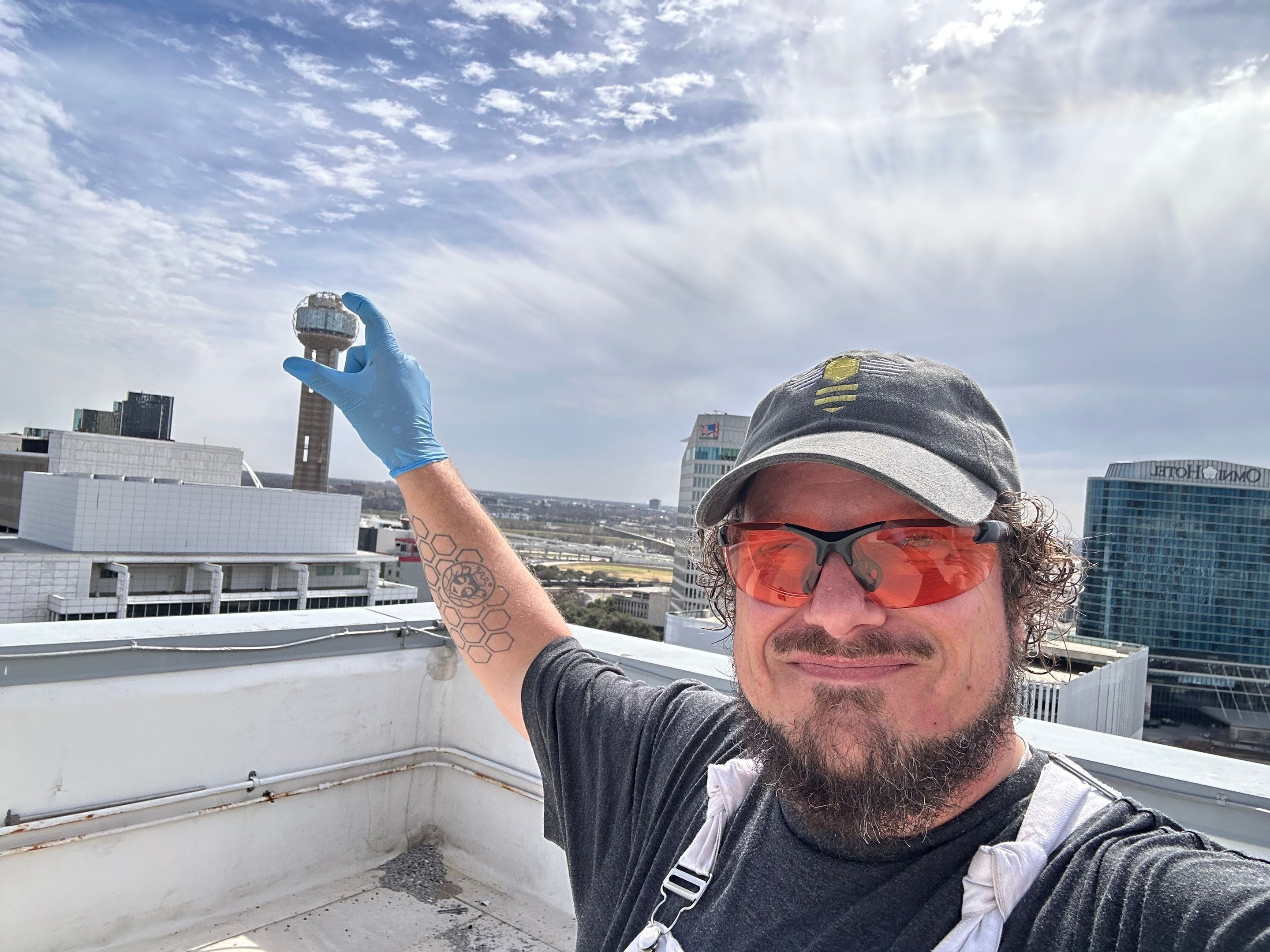 Downtown Dallas by Rockwall Honey Bee Company