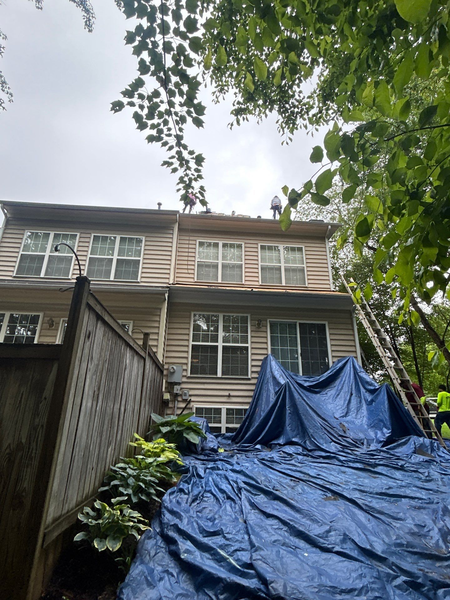 Reston Roof Replacement with CertainTeed Landmark PRO in Max Def Moire Black by RM Banning, Inc.