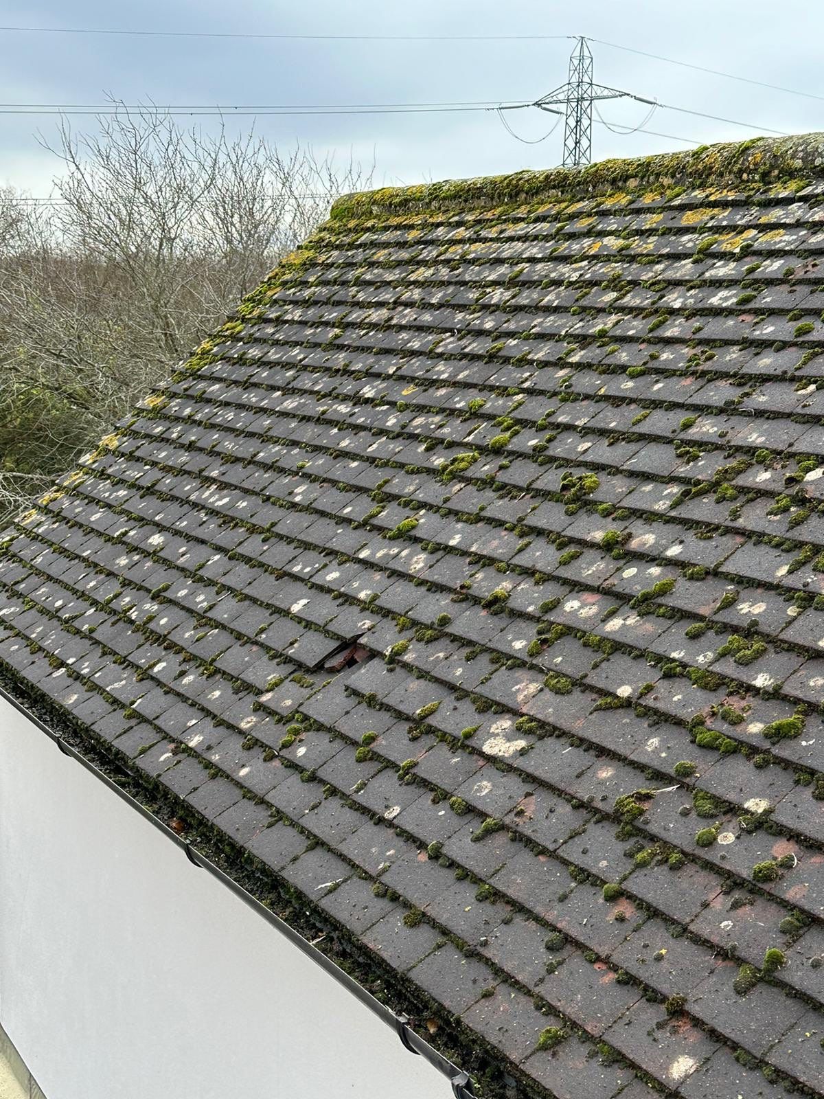 Roof Clean - Biocide Treatment using Mosmatic FSC and Biocide by Ges Exterior Cleaning ltd