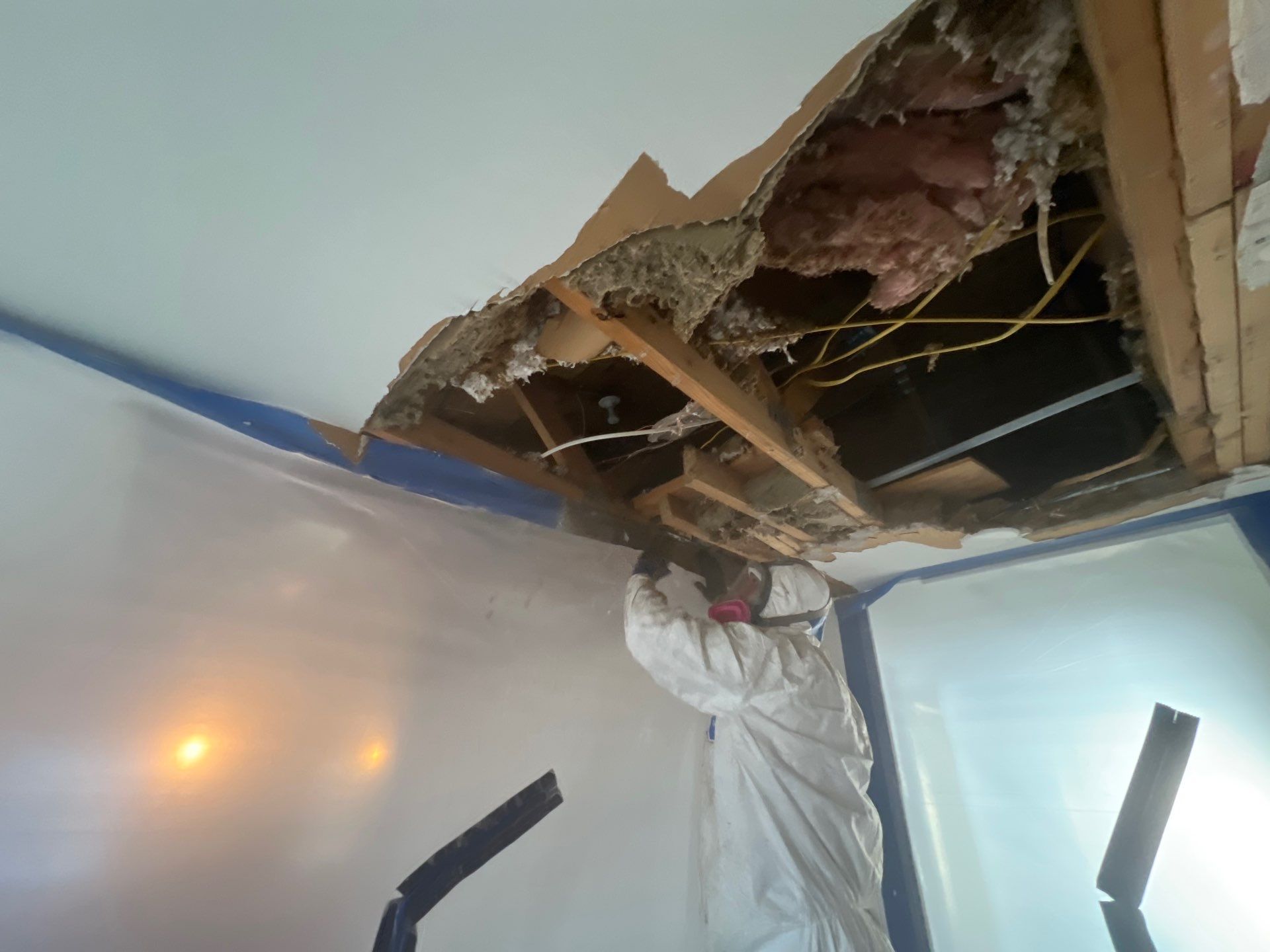 Windstorm Damage & Multi-Room Water Mitigation in St. Petersburg by Right On Time Restoration