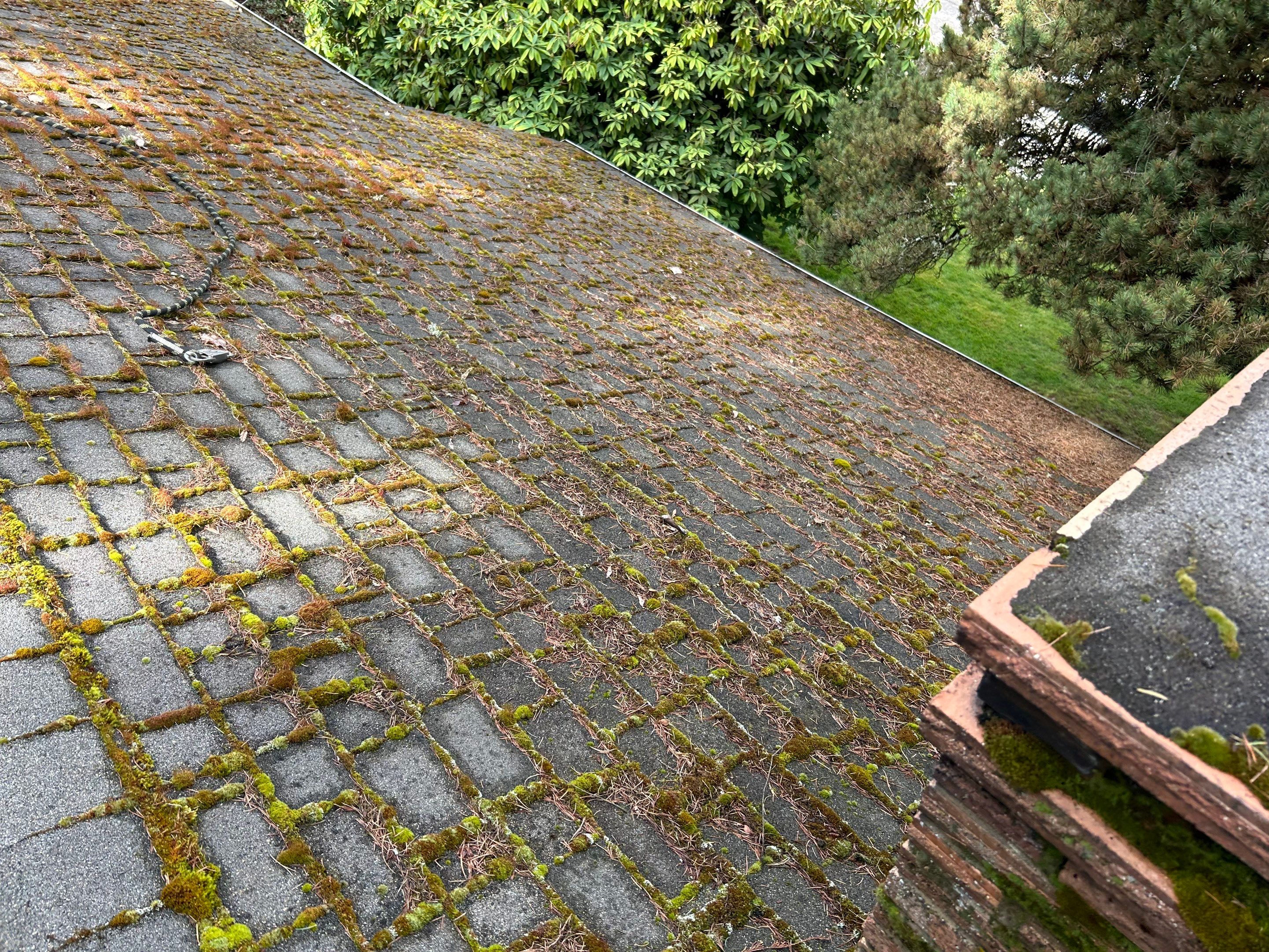 Roof Maintenance in West Linn by Prodigy Roof Solutions