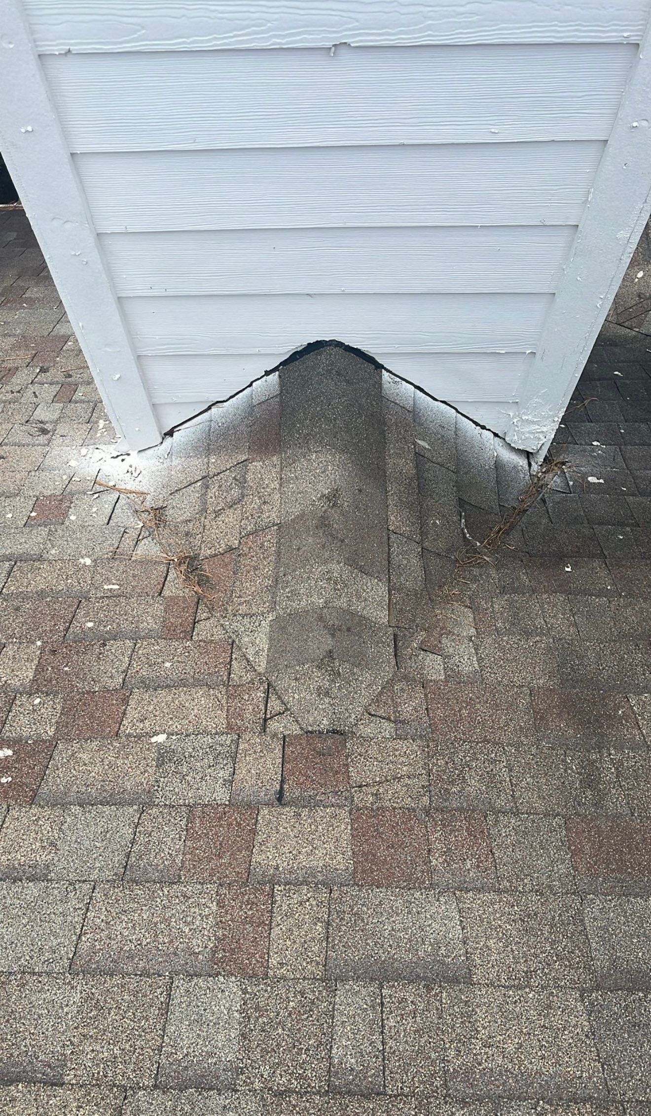 Roof Repair Spring by Roof Repair Company