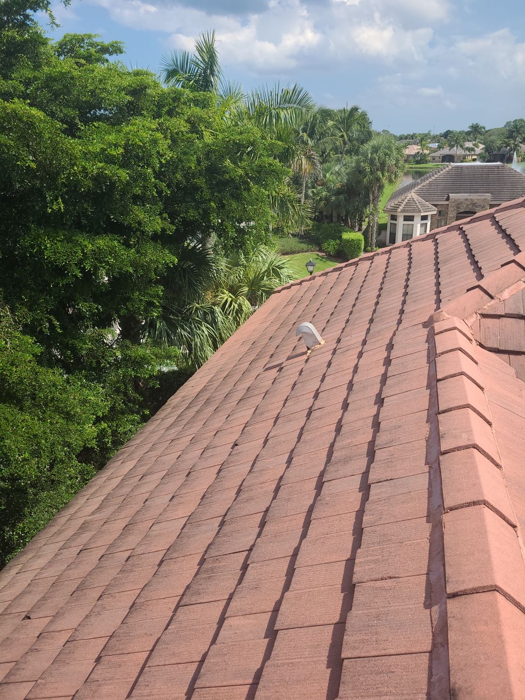Tile Roof Repair in Wellington – Expert Craftsmanship & Reliable Service by Aastro Roofing