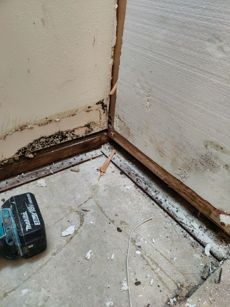Mold Remediation by Accountable Home Services