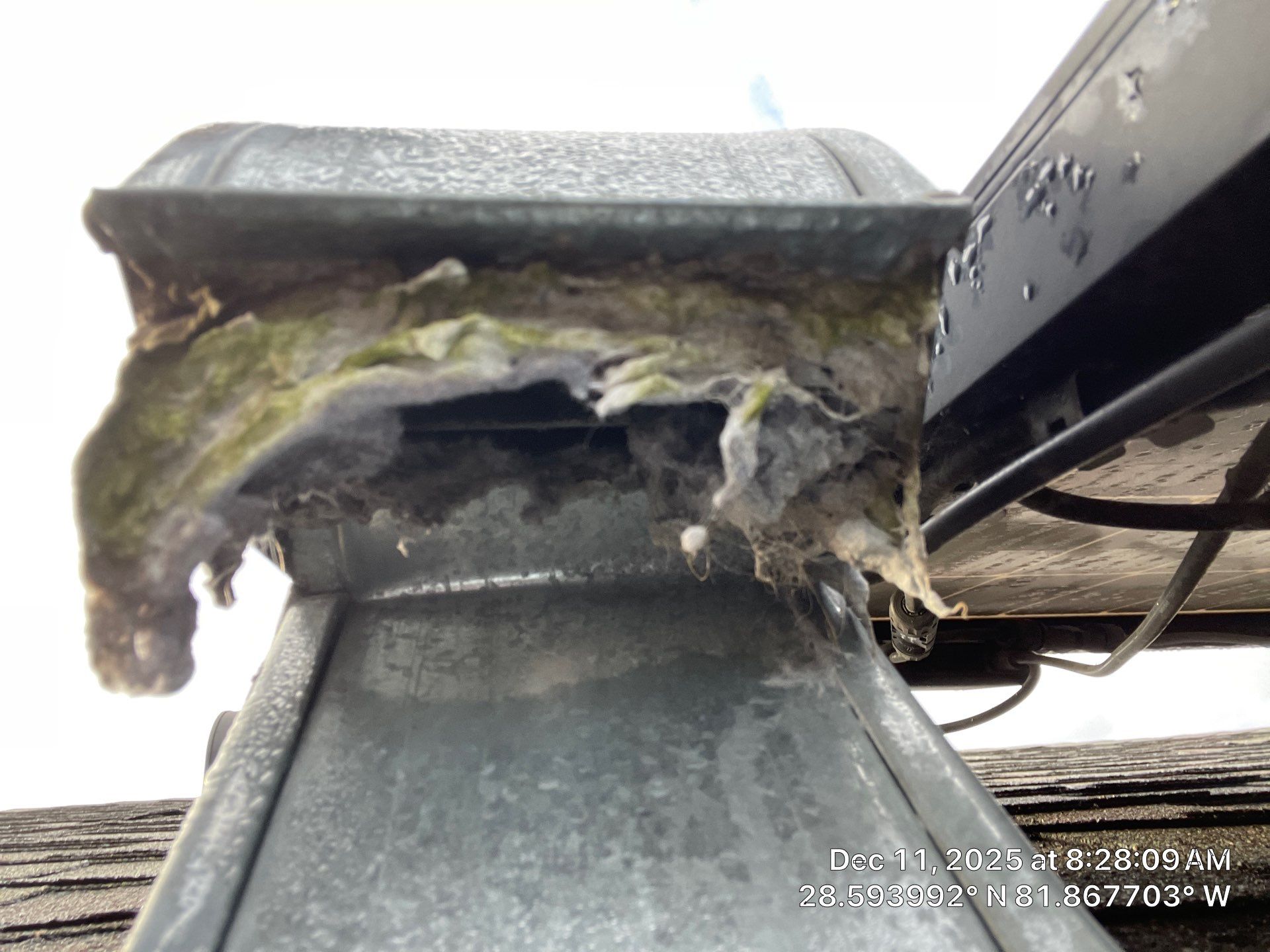 Dryer Vent Cleaning in Groveland by Hygienic Air, Inc