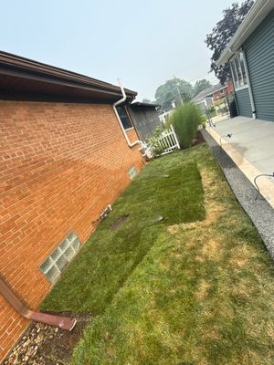 Robert B. - Arlington Heights, IL