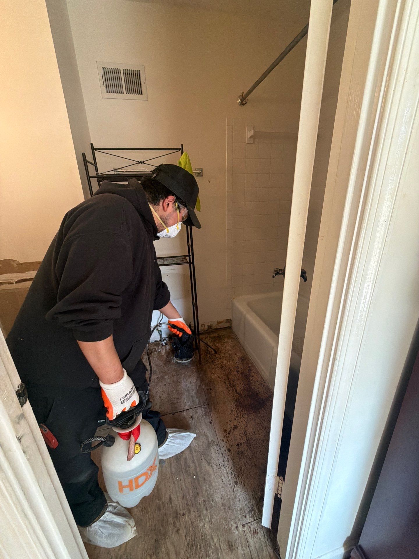 Project in Springfield by Restoration Doctor