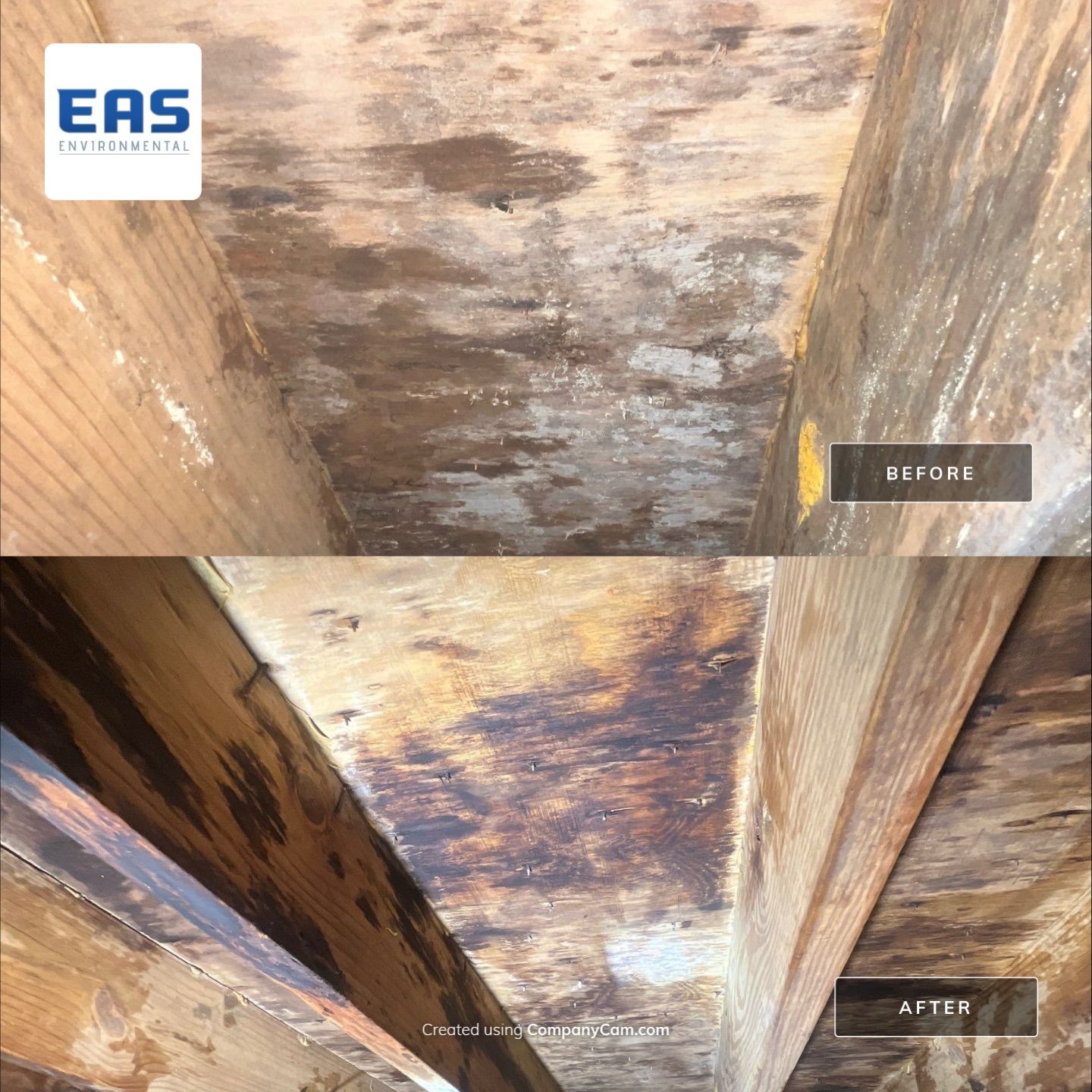 Crawlspace remediation & encapsulation with ductwork replacement by EAS Environmental, LLC.