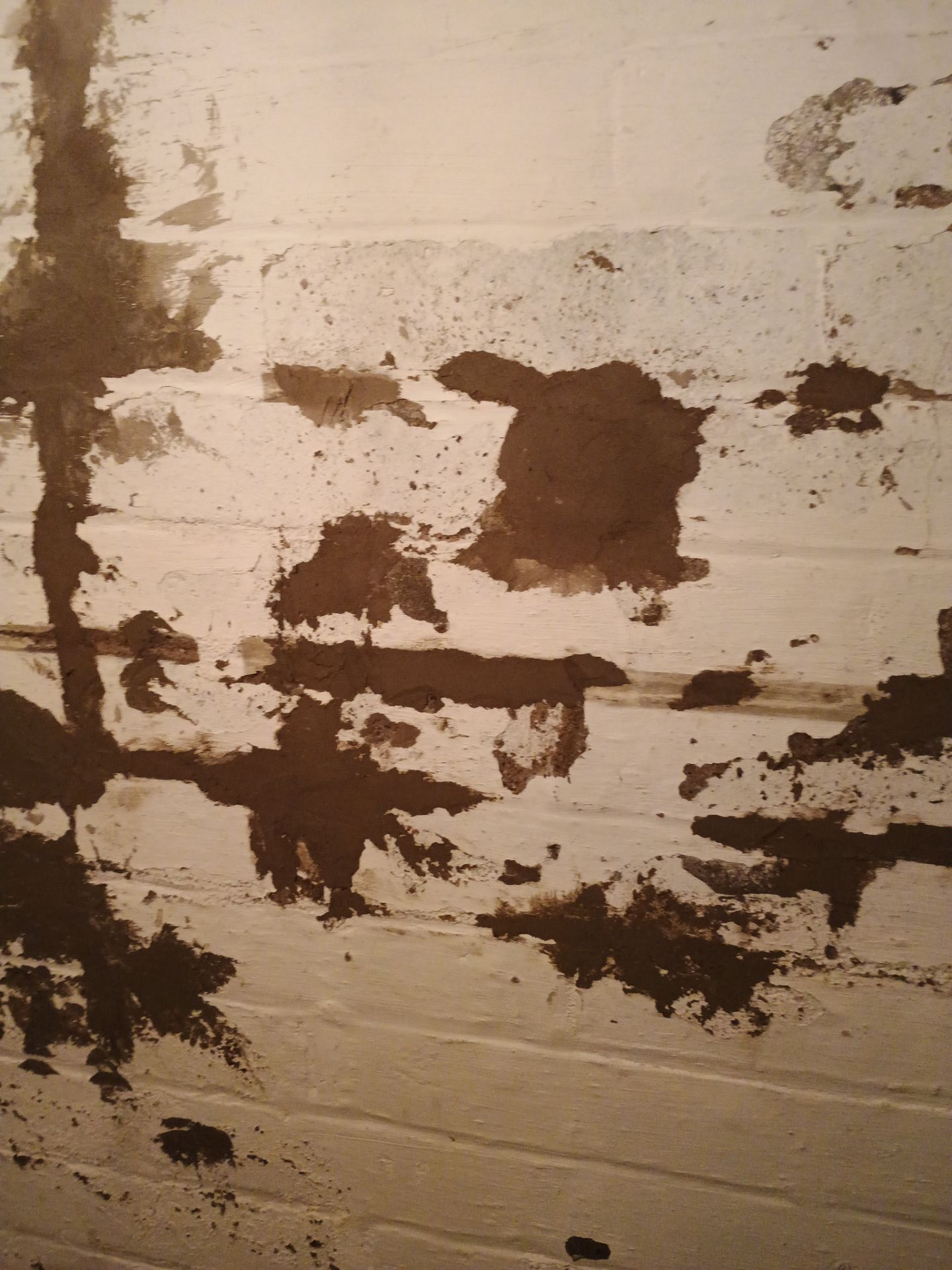 Updating Taylor's Waterproofing System by Waterproofing Northeast