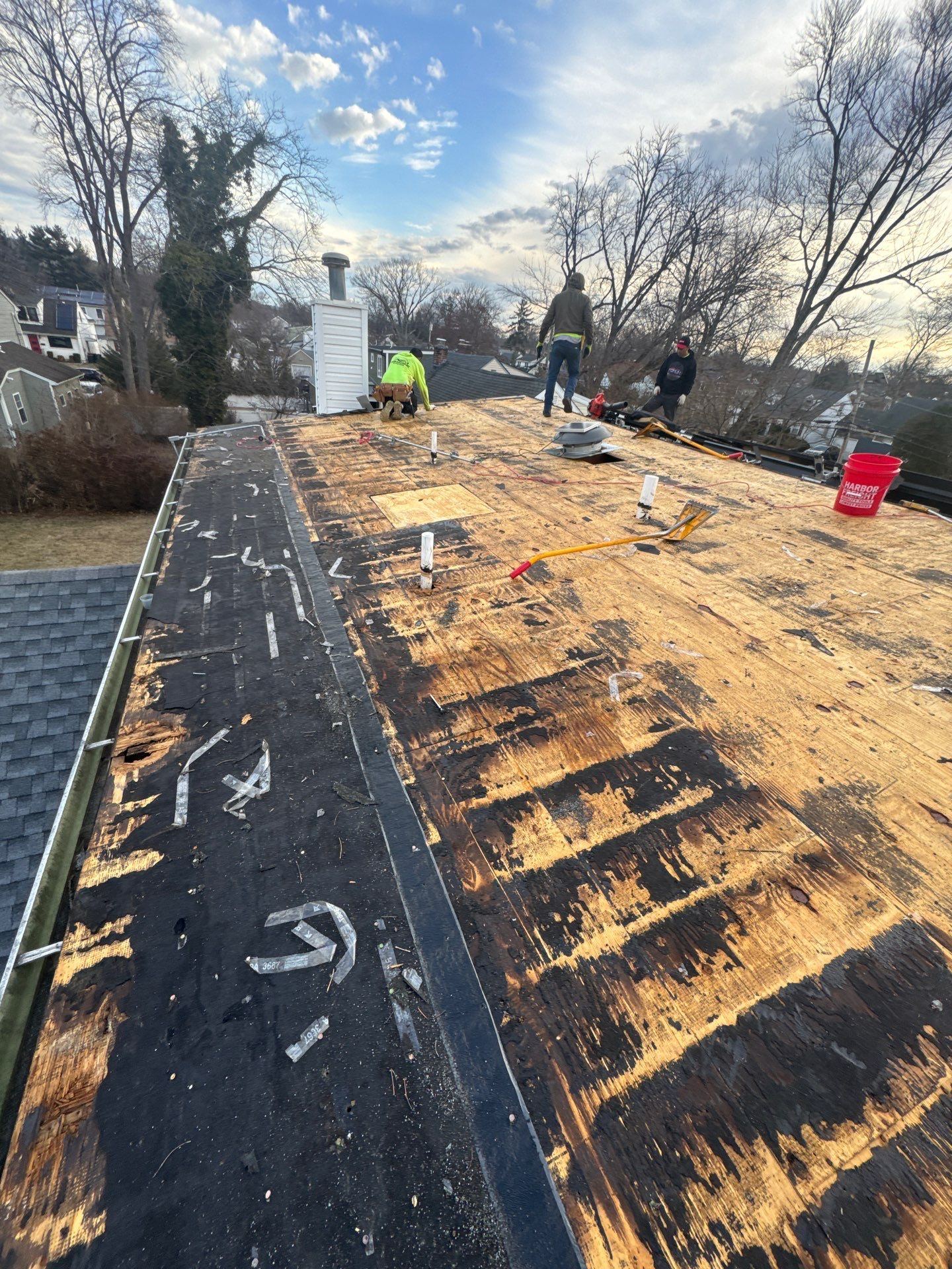 Silver Birch Shingles by Reimagine Roofing