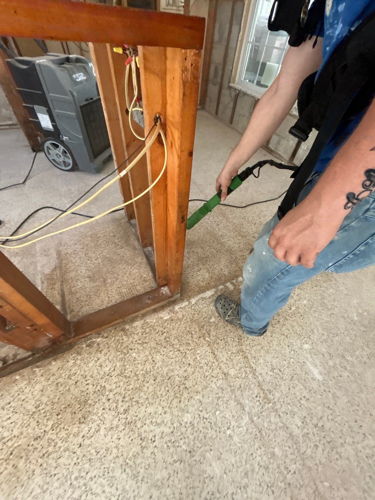 Mold Remediation + Reconstruction Bradenton by Ampm Restoration Services