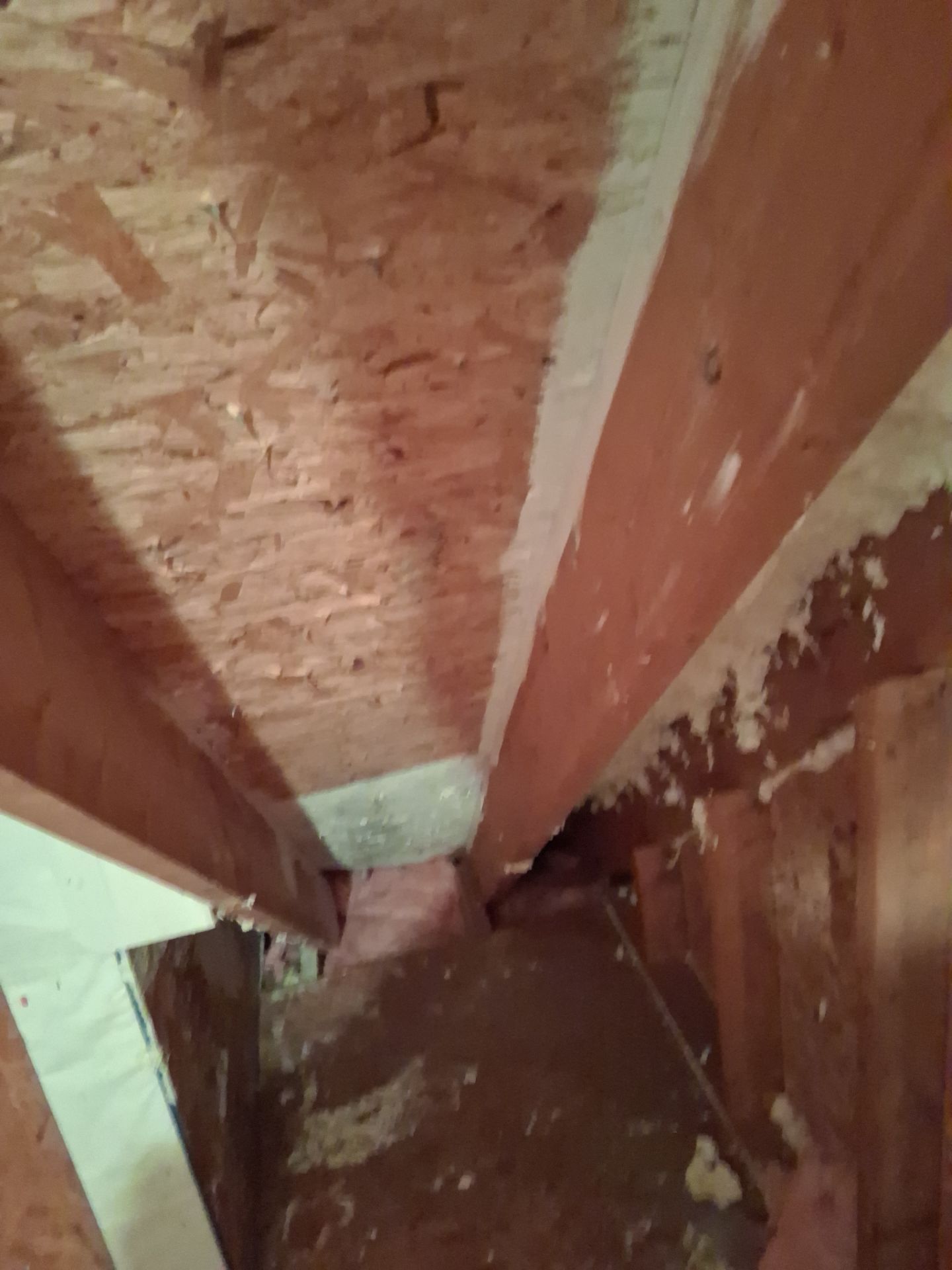 Attic Insulation and Repair by Toledo Basement Repair
