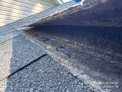 New Bern Roof Replacement Following Storm and Tree Damage