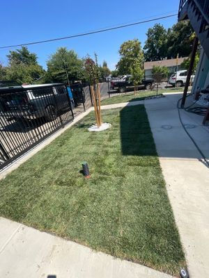Project in Sacramento