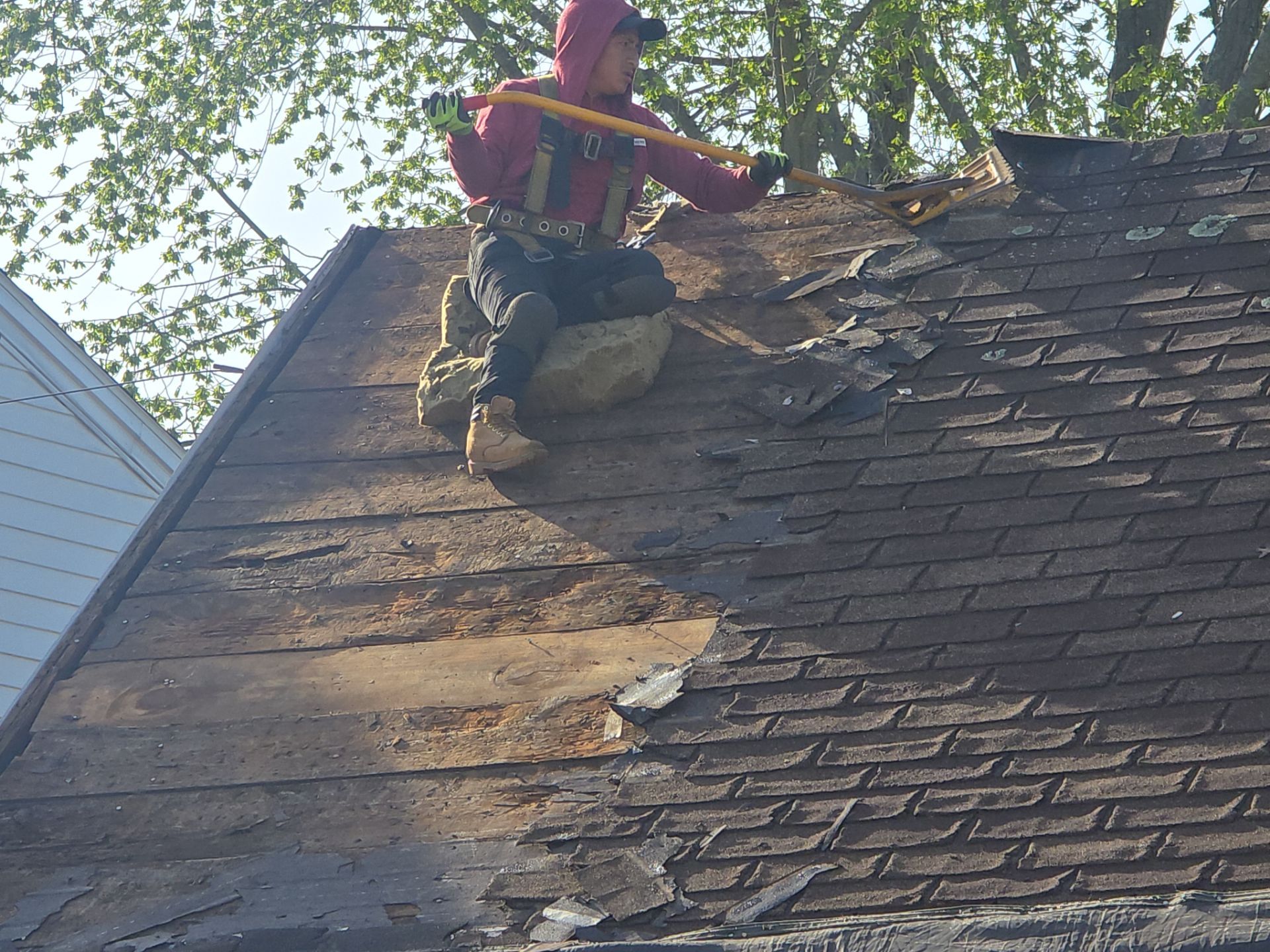 Roof Replacement with Owens Corning TruDefinition Shingles in Midnight Plum by Mighty Dog Roofing of Greater Middlesex County