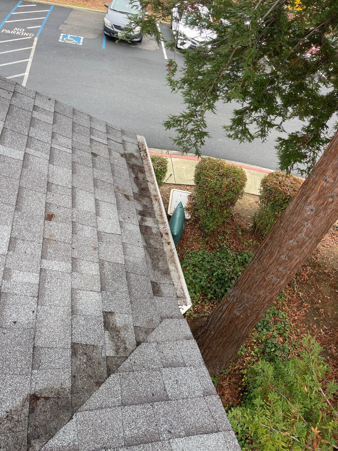 HOA gutter cleaning after photo Vallejo, CA.