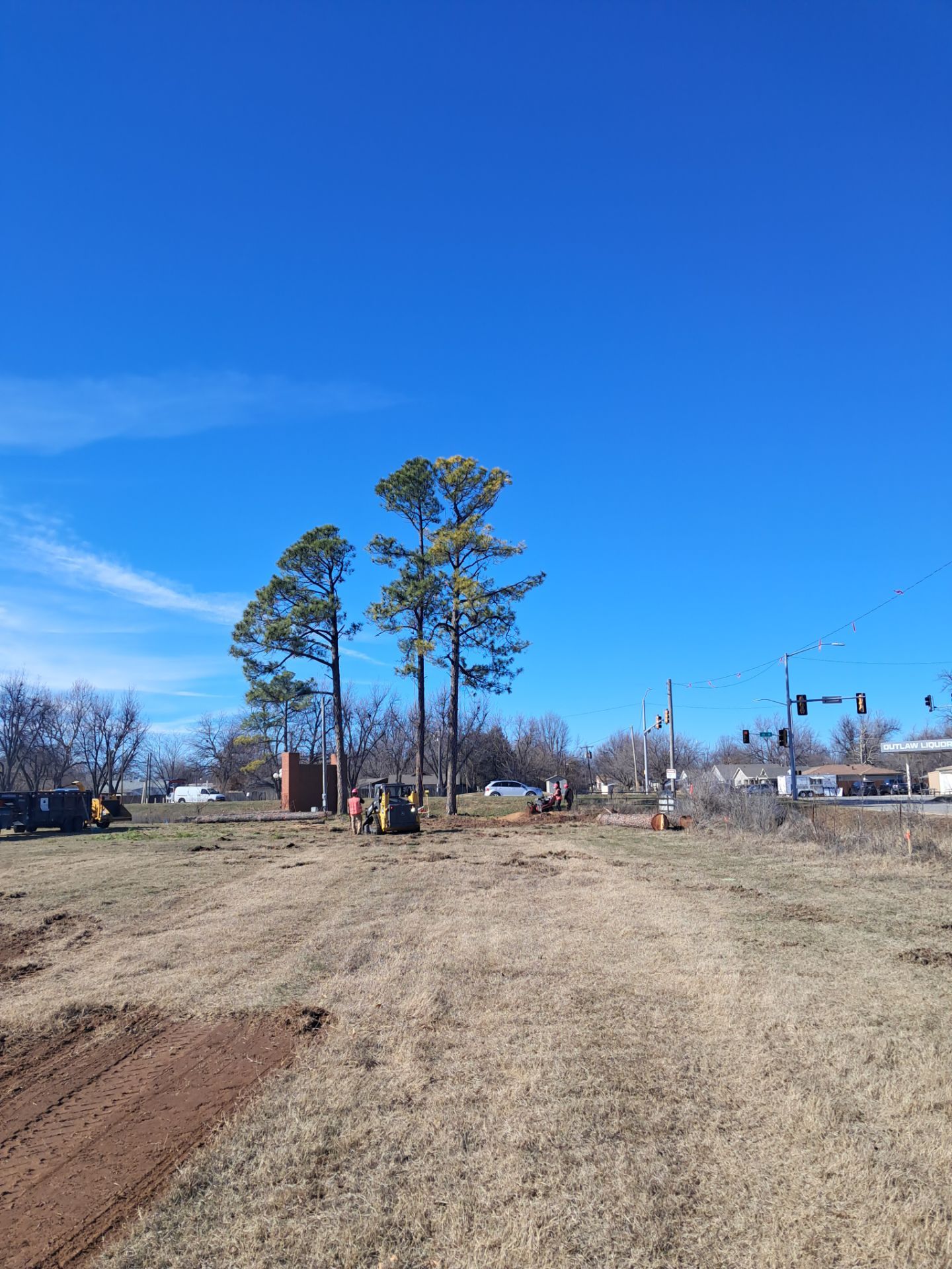 Pine Removals by Clays Services Inc