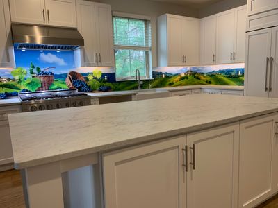 Kitchen Remodel using Italian Vinyard IMAGIO Solid Glass Backsplash