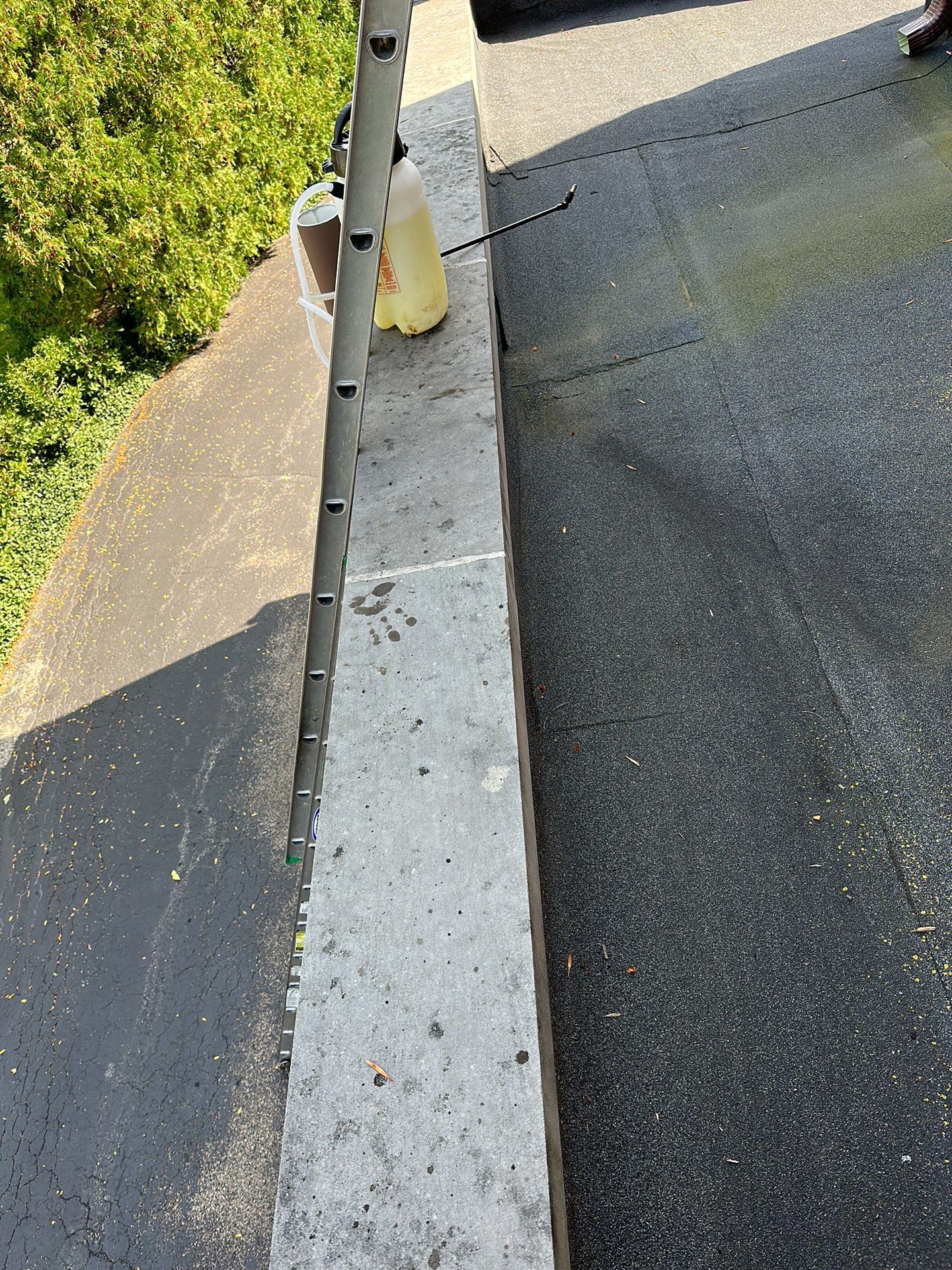 natural stone using Algaecide, soft wash soap by Northern Power Washing LLC.