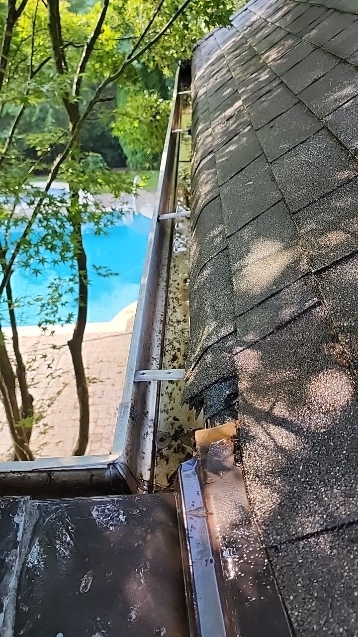 House Wash using cleaner by Power Wash Masters LLC