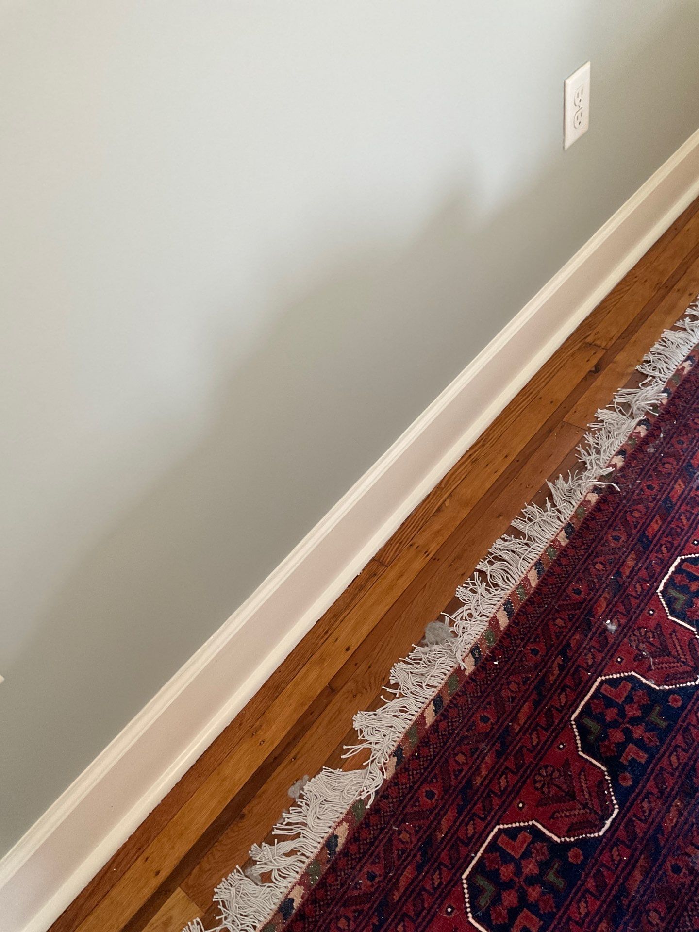 Sophisticated Interior Makeover in South Philly by Groovy Hues