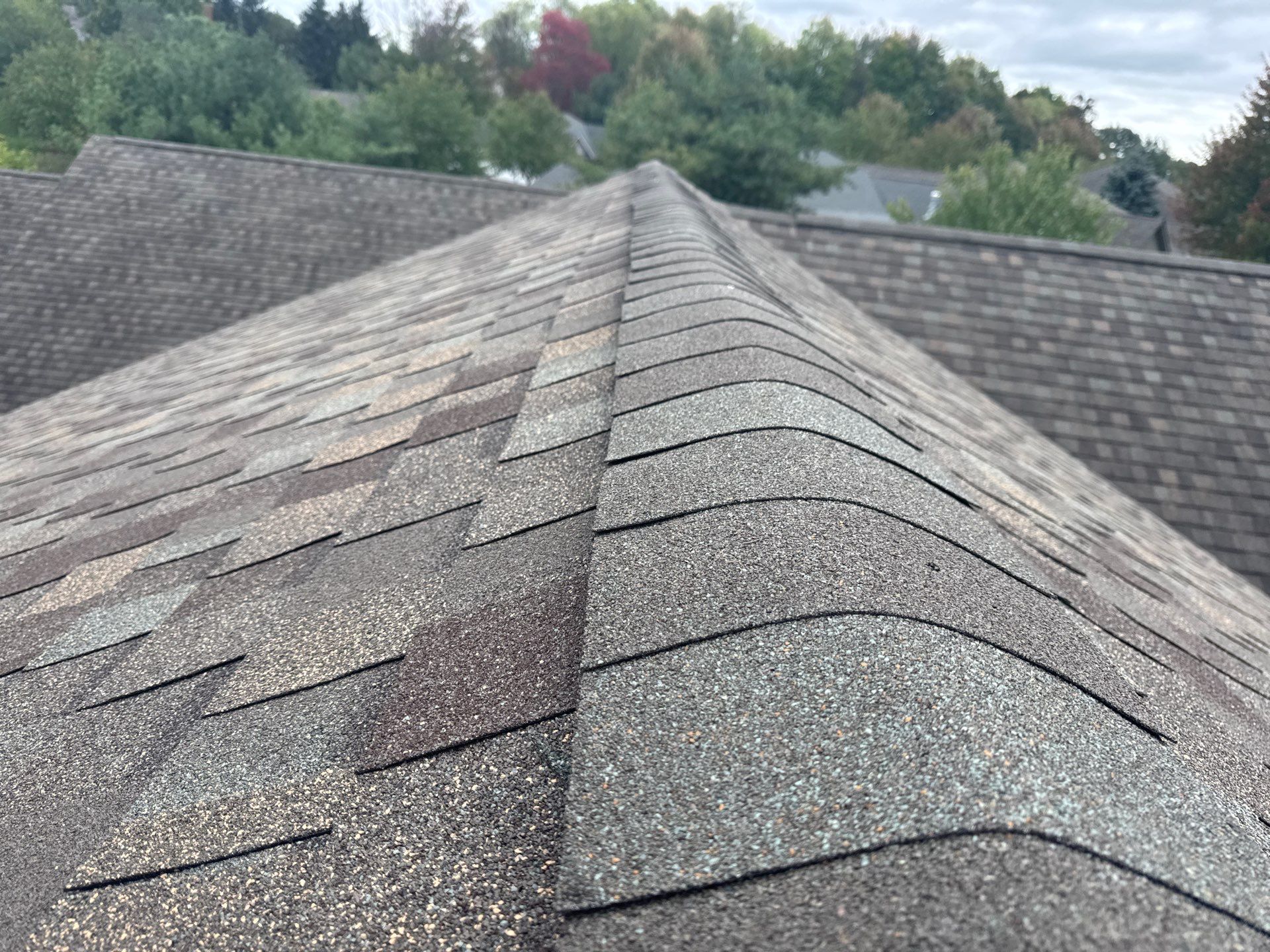 Don Bowers by Silver Leaf Contracting 